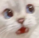 AAAAA1