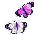 pinkbutterfly