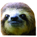 sloth Discord emoji