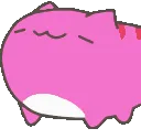 BCHotPinkNod