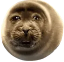 cement cement