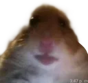 757158669145079898 757158669145079898
