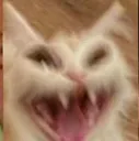 Yakuza__CATLAUGH Yakuza__CATLAUGH