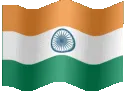 india india