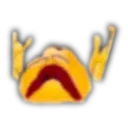 sufer