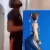 SG_ChunliSex SG_ChunliSex