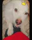 emoji_2