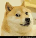 dogesodeal