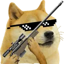 doge doge