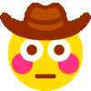 6977flushedcowboyspin