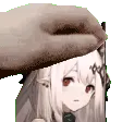 PetTheMudrock PetTheMudrock