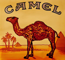 camel Discord emoji