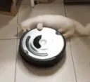 spinnin