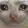 sad_cat