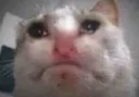 Cry