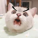minzymoreangry