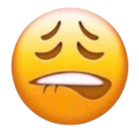 emoji_lipbite Discord emoji