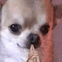 m_box_hmm