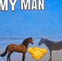 handshakehorse