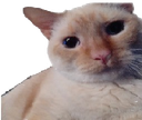 EN_moboy Discord emoji