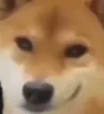 DogeSmirk