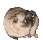 bouncedat