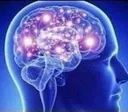 BigBrain