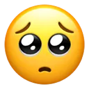 pleading