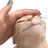 catPet