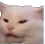ConfusedCat Discord emoji