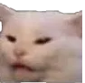 ConfusedCat