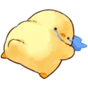 chick_cry5 chick_cry5