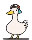 DuckDance DuckDance