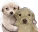 doggopride doggopride