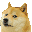 dogge_leave