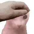 SCbingusPETPET