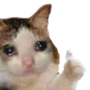 NA_SadOkayCat Discord emoji