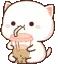cutie_cat_drink