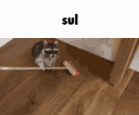 sul