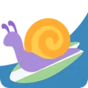 snailsurfmorning