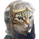 pilotcat Discord Emoji