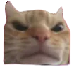 sleep_catangry