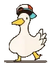 duck