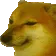 BONK