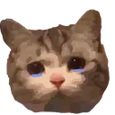 sadcat