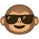 monkool