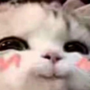 :ewe: