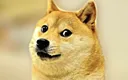 Doge Discord Emoji