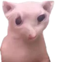 bengoscAt