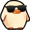 duckcool duckcool